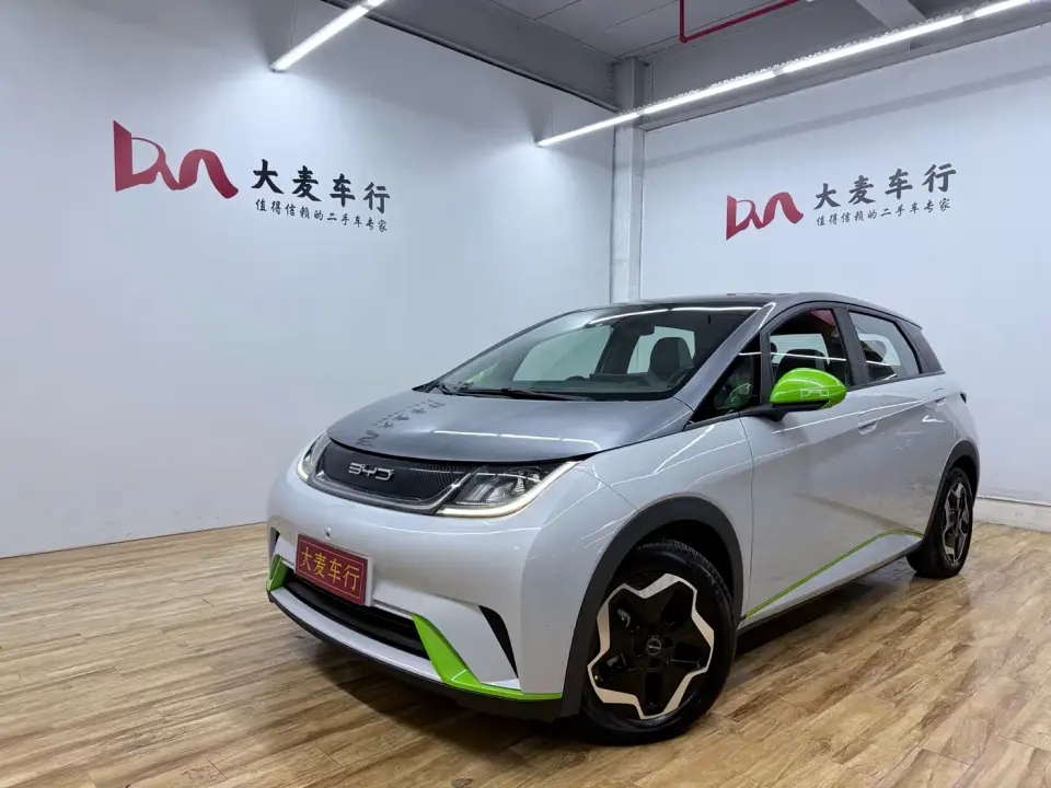 BYD Dolphin Model 405km Fashion Edition 2021