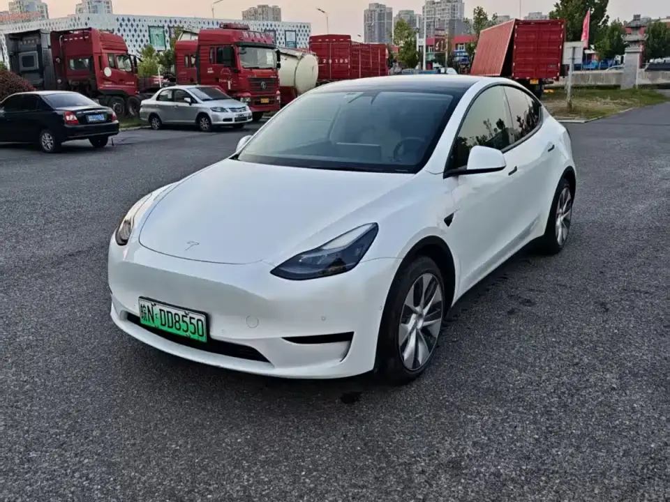 Tesla Model Y Rear-Wheel Drive Version 2022