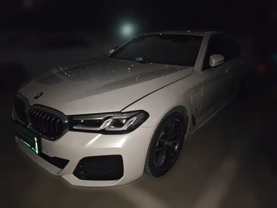 BMW 5 Series New Energy Facelift 535Le Pioneer M Sport Package 2021