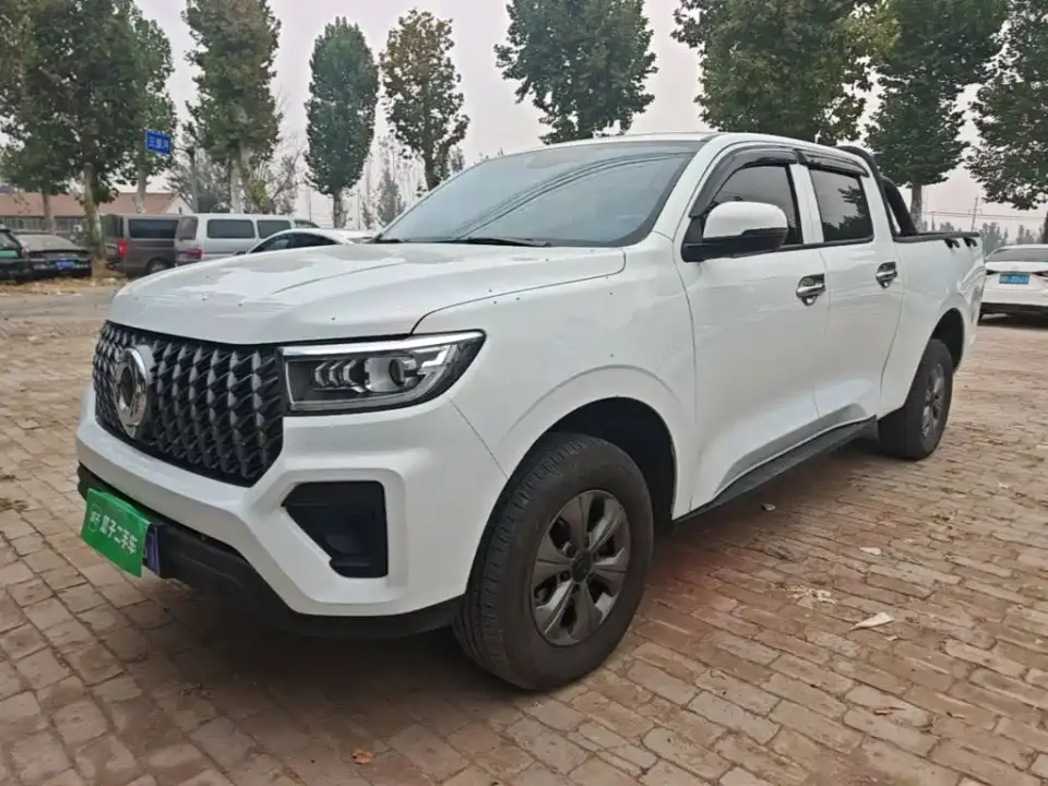 Great Wall Pao Model 2.4T Commercial Version Automatic Diesel 4WD Elite Type 2025
