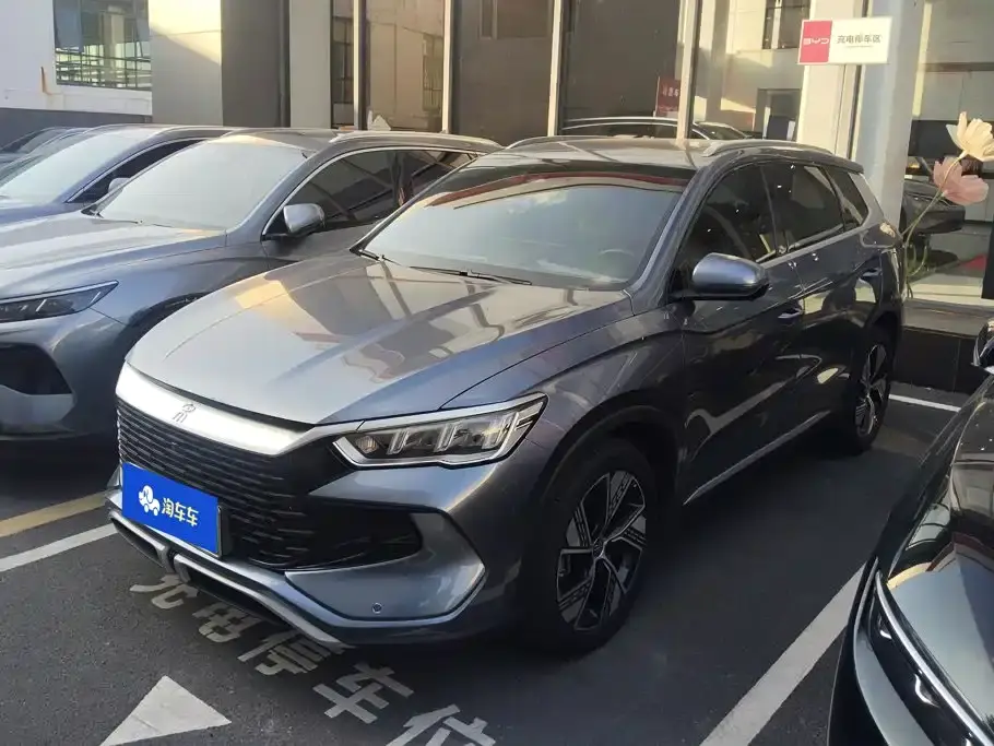 BYD Song Pro New Energy Champion Edition DM-i 110KM Excellence 2024