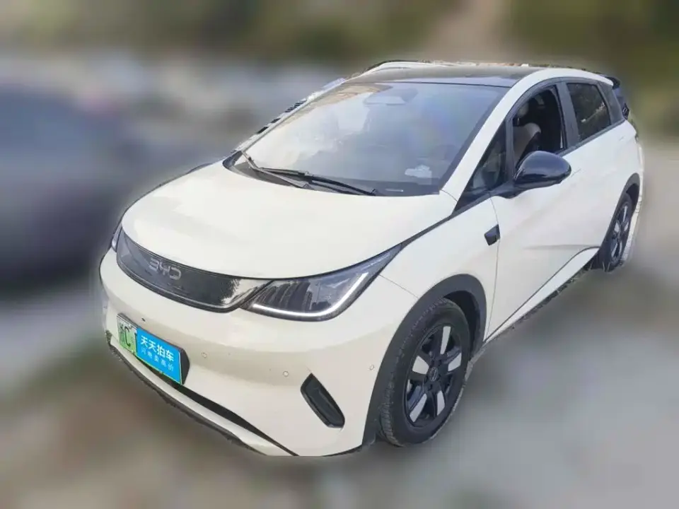 BYD Dolphin Smart Drive Edition 410km Fashion Version 2025