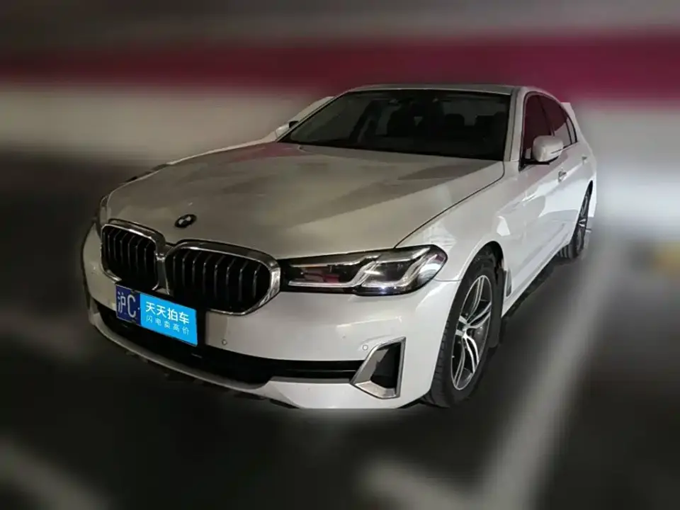 BMW 5 Series 530Li Leading Luxury Package 2021