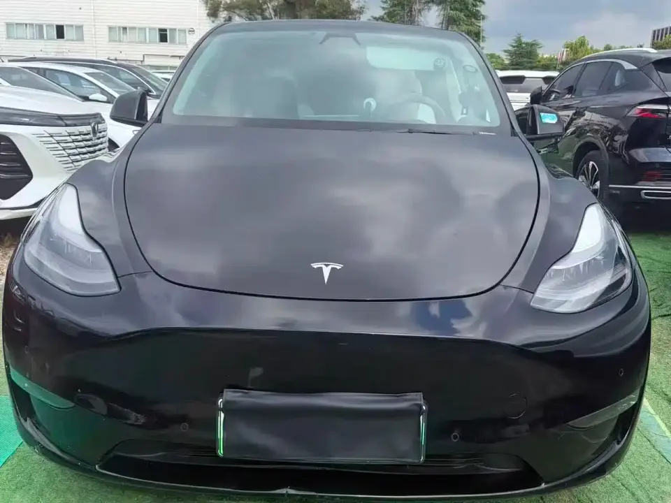 Tesla Model Y Standard Range Rear-Wheel Drive 2021