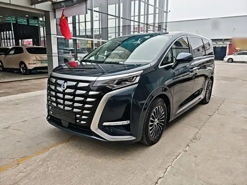 Denza D9 DM-i 1040 Premium 2023