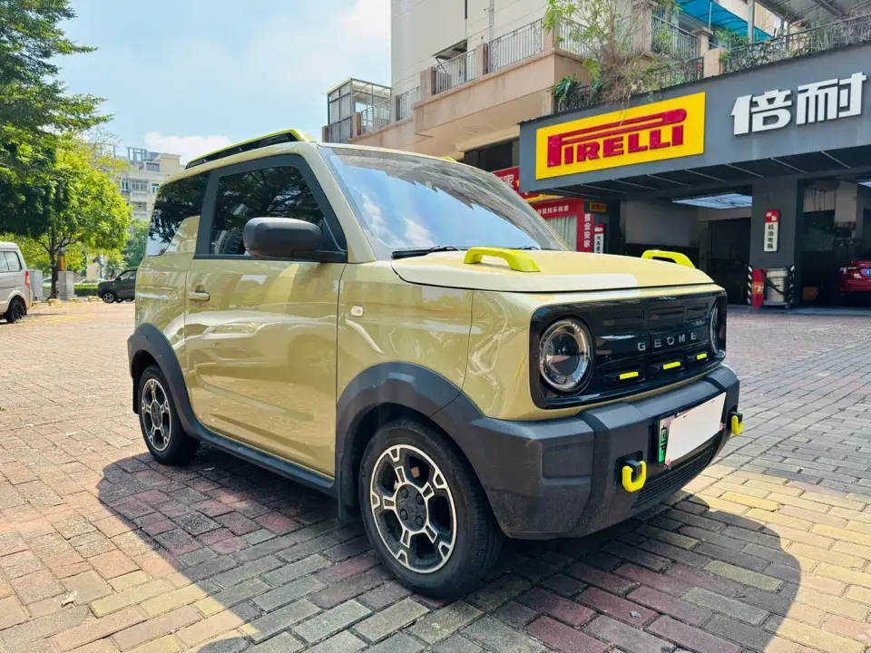 Geely Galaxy Panda Model Year 210km Panda Knight 2025