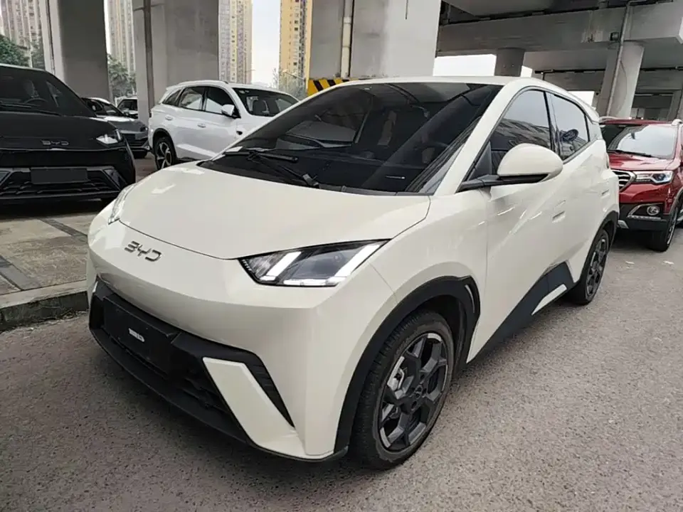 BYD Seagull Glory Edition 305km Freedom Edition 2024