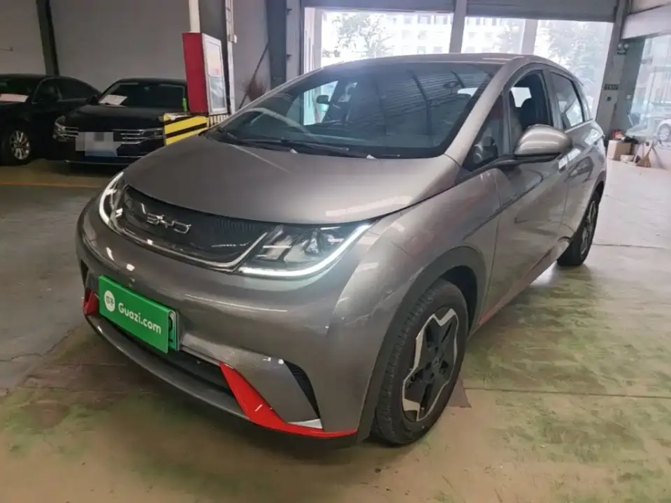 BYD Dolphin 405km Freedom Edition 2022