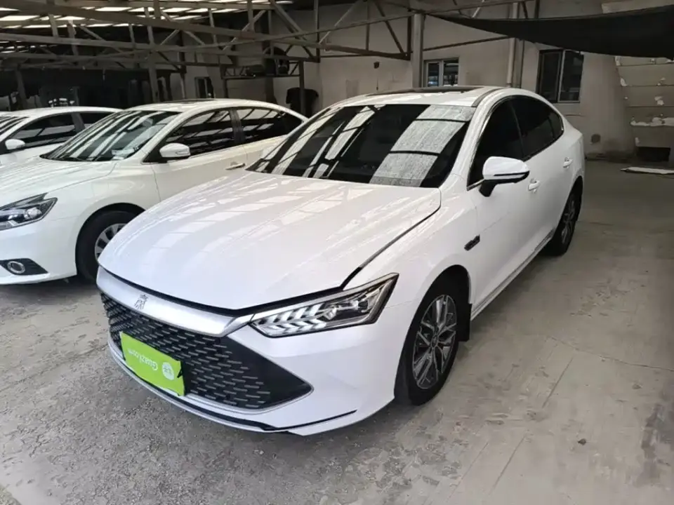 BYD Qin PLUS Champion Edition DM-i 55KM Surpassing 2024
