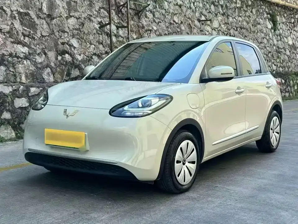 Wuling Motors Wuling Bingo Model 203km Light Enjoyment 2026