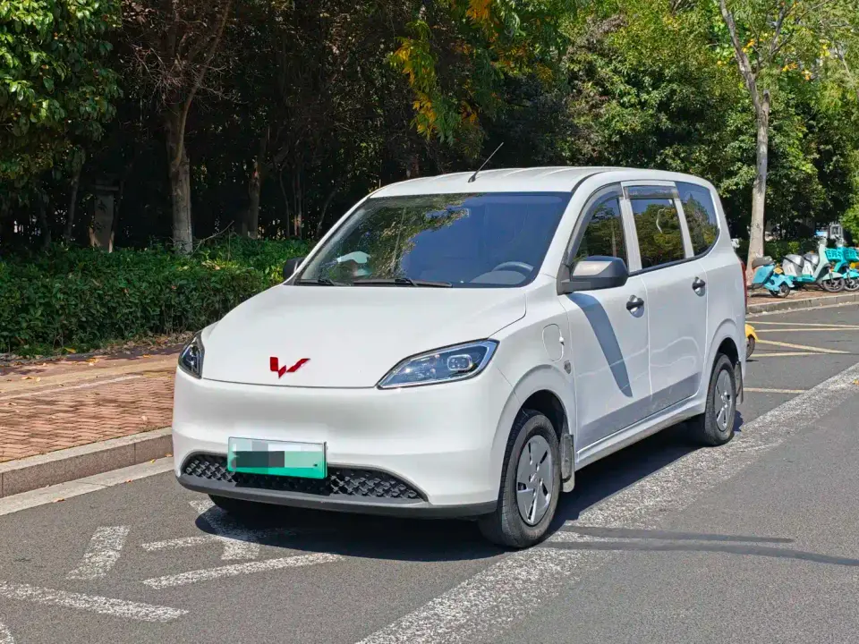 Wuling Motors Wuling Hongguang New Energy Model Pure Electric 300KM Utility Version 2024