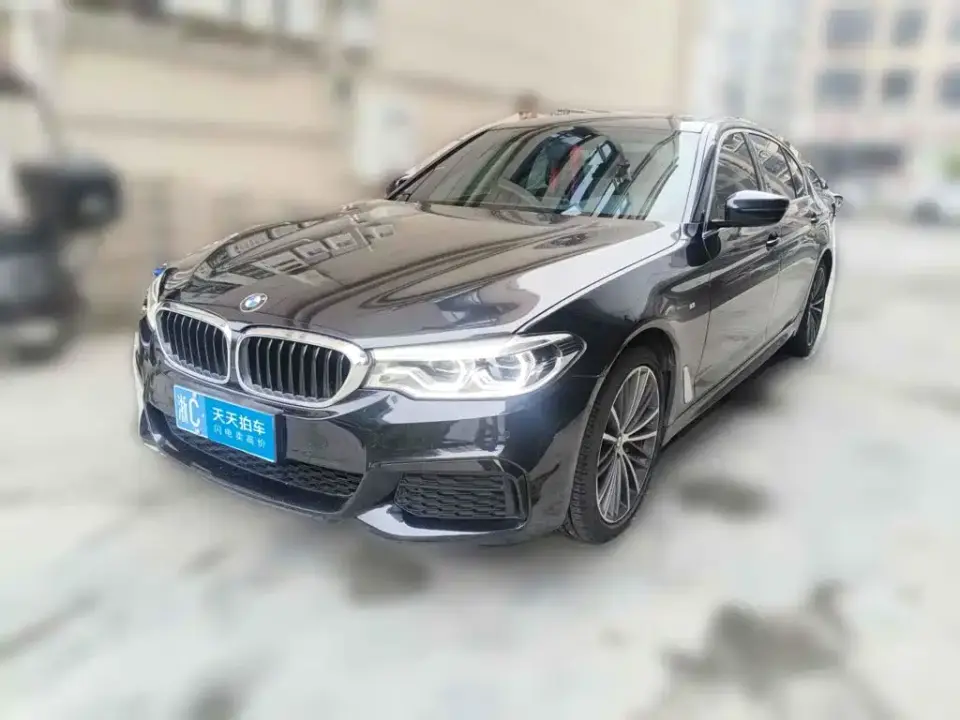 BMW 5 Series Model 530Li xDrive M Sport Package 2020
