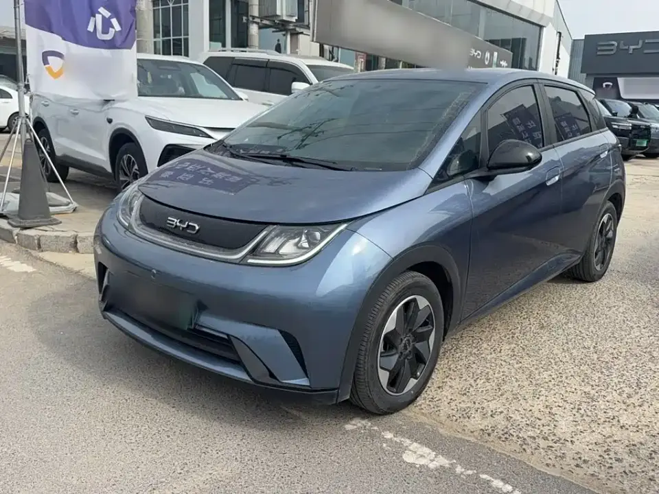 BYD Dolphin Glory Edition 420km Freedom Edition 2024