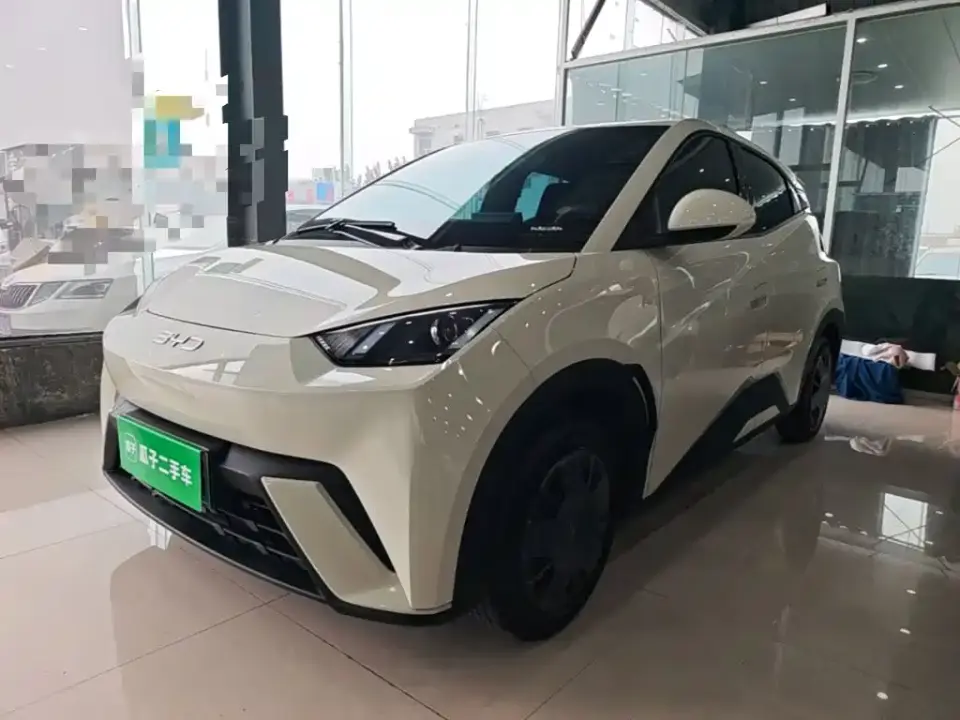 BYD Seagull 305km Vitality 2024