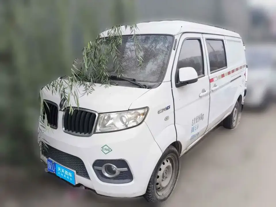Jinbei Little Sea Lion X30 1.5L CNG Standard Van DLCG14 2019