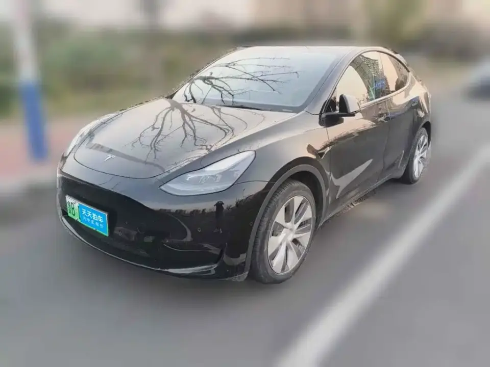 Tesla Model Y Rear-Wheel Drive Version 2022