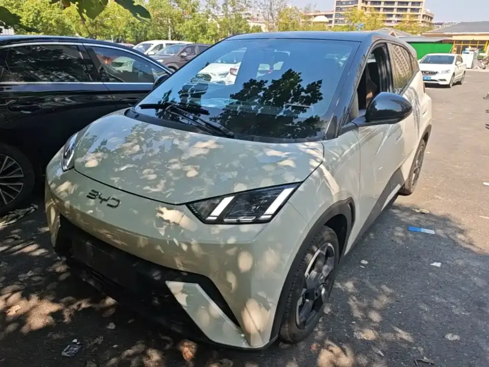 BYD Seagull Freedom Edition 2024