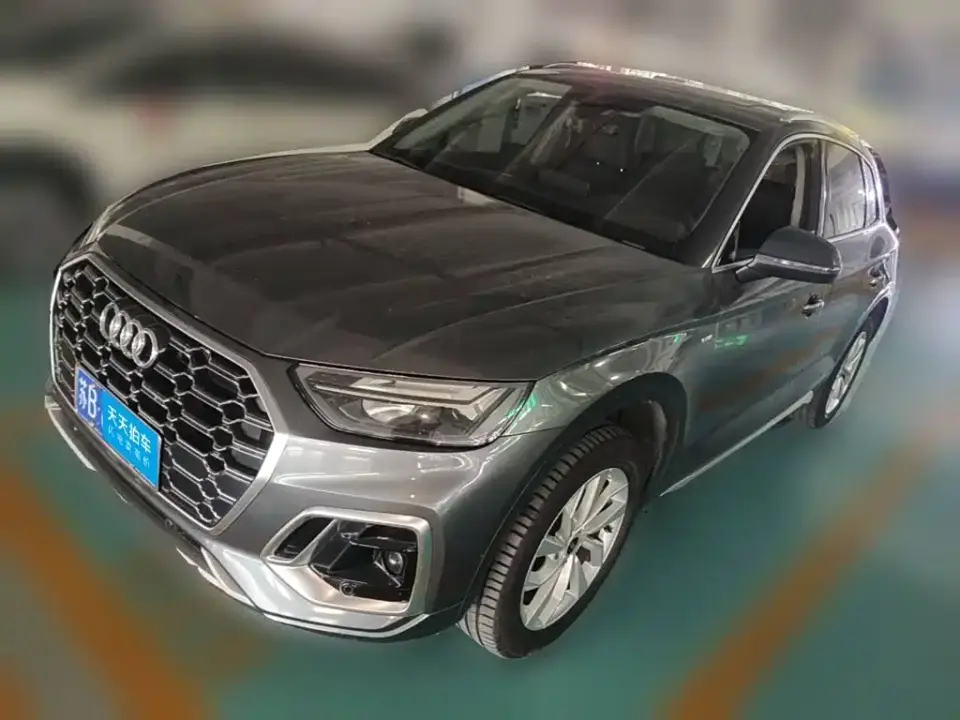 Audi Q5L 40 TFSI Luxury Dynamic 2021