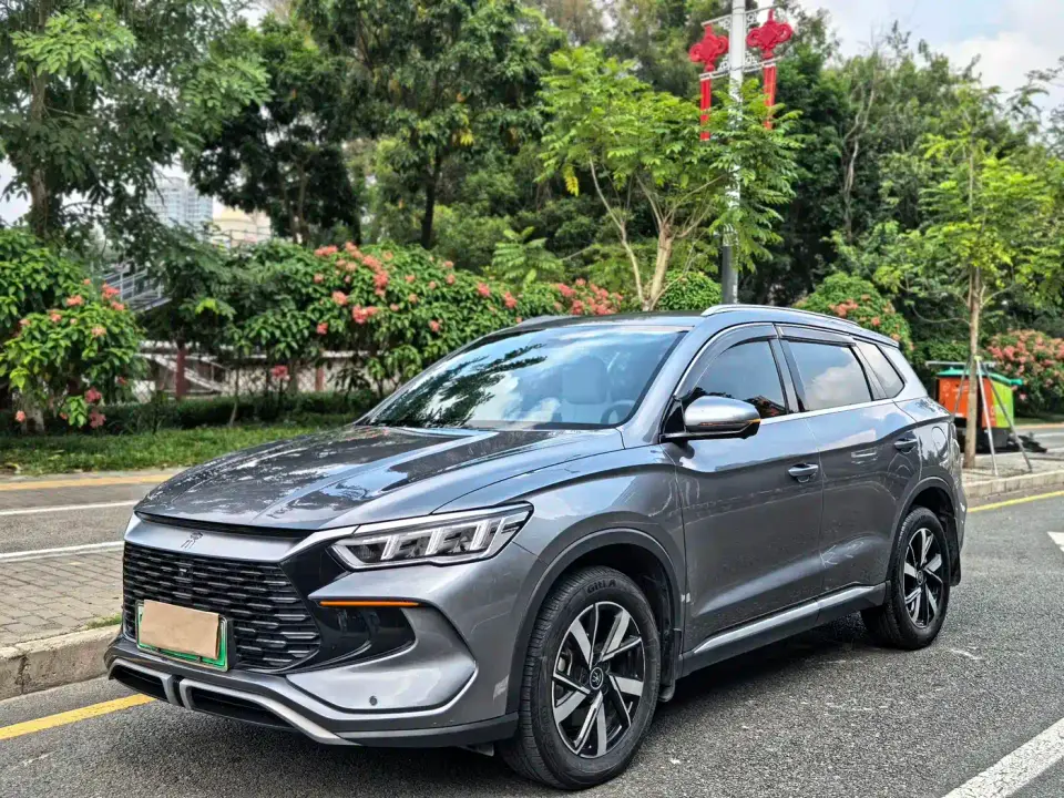 BYD Song Pro New Energy Glory Edition DM-i 71KM Pilot 2024