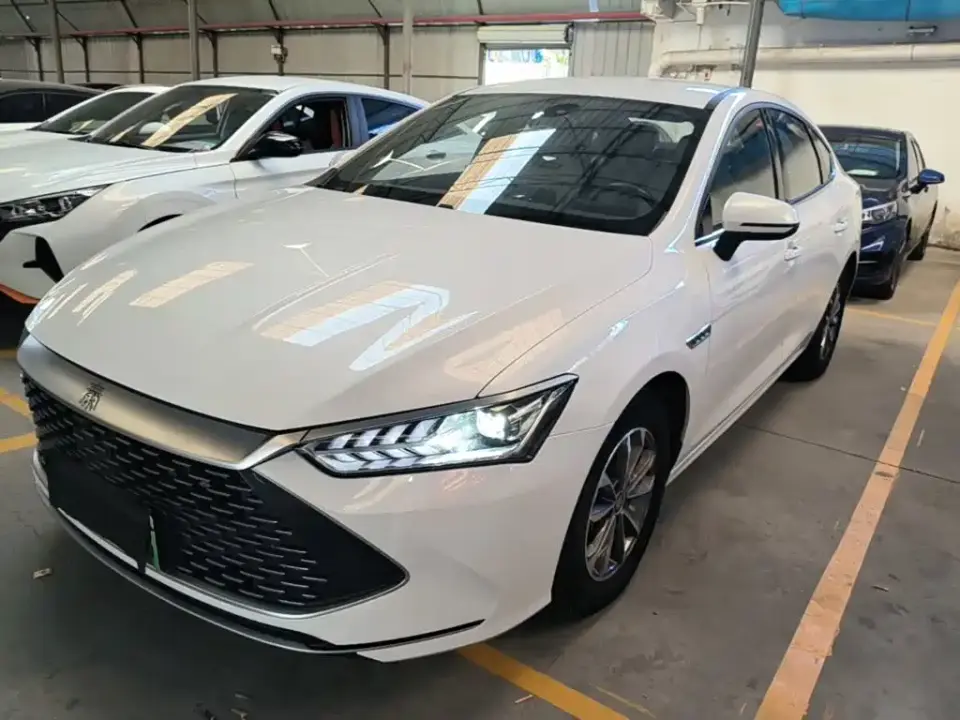 BYD Qin PLUS Glory Edition DM-i 55KM Leading 2024