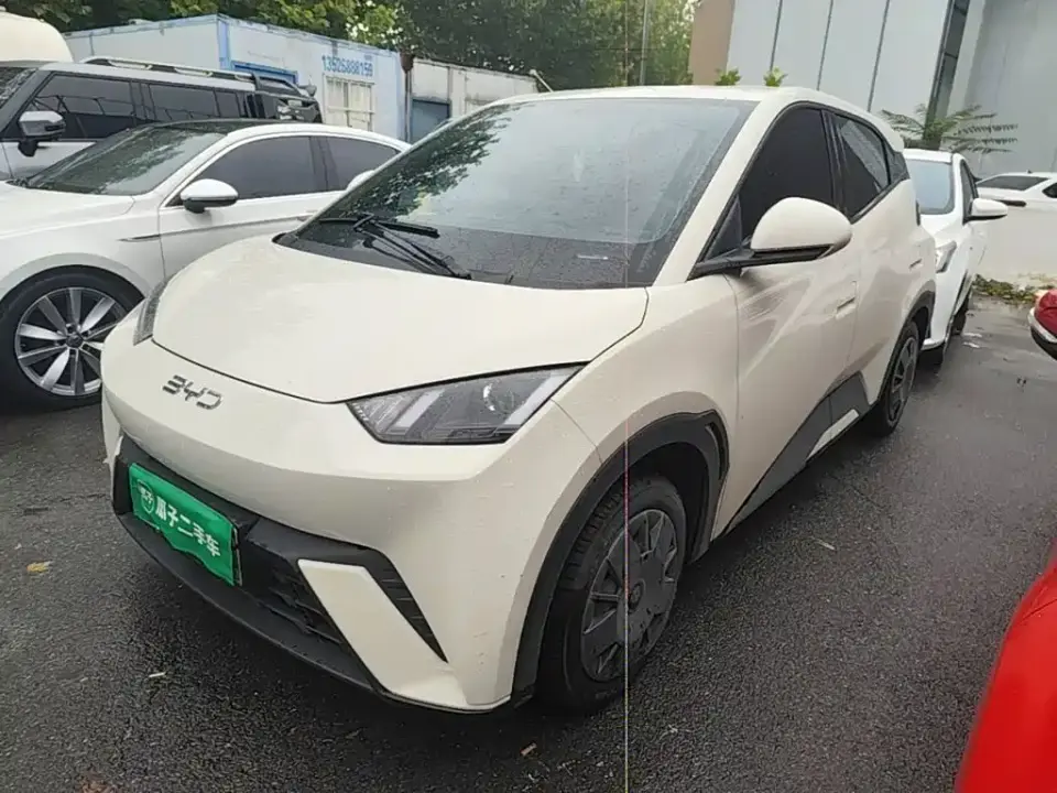 BYD Seagull Glory Edition 305km Vitality Edition 2024