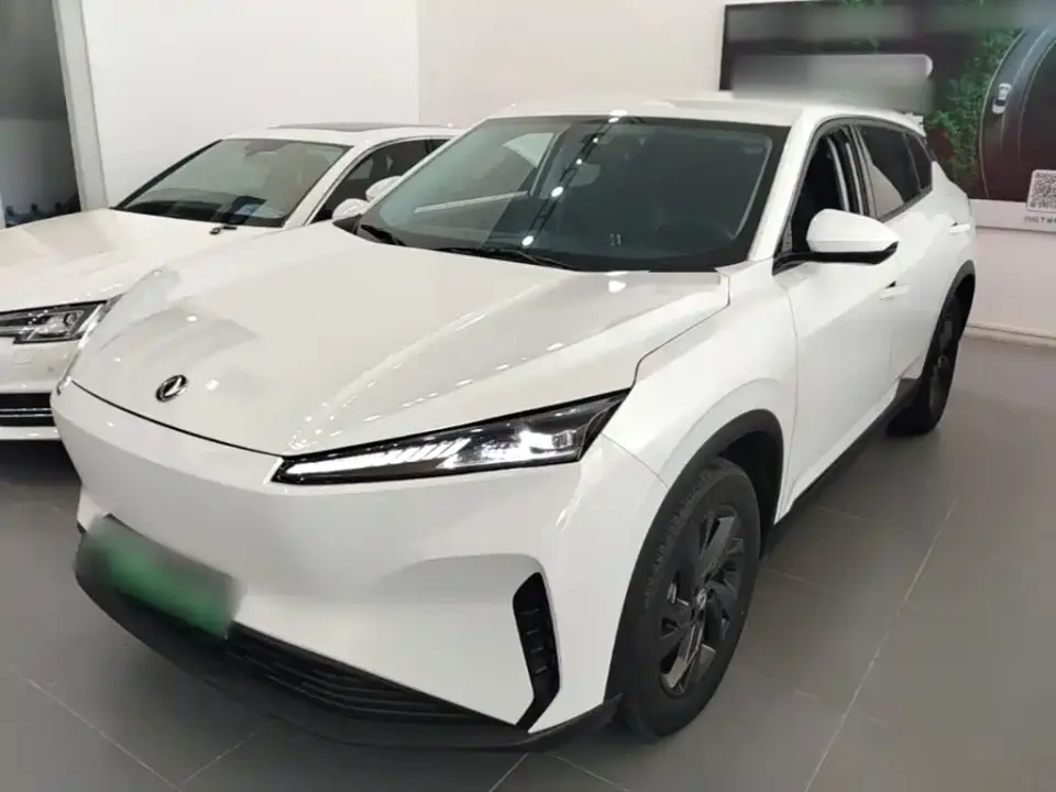 Dongfeng Aeolus SKY EV01 530km PRO 2024