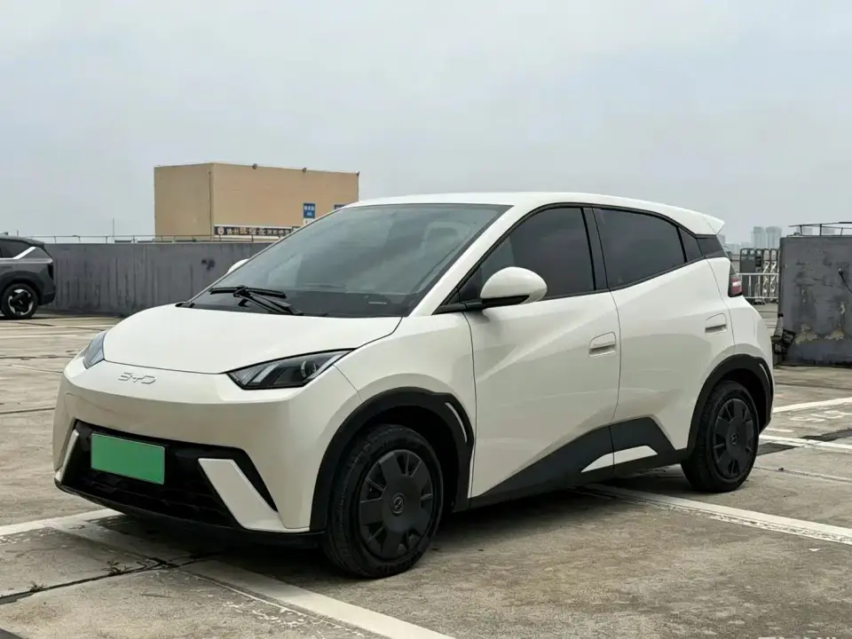 BYD Seagull Glory Edition 305km Vitality Edition 2024