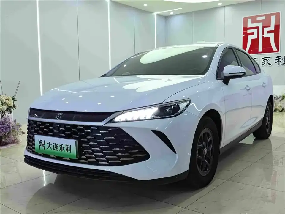 BYD Qin PLUS DM-i Smart Drive 55KM Leader 2025