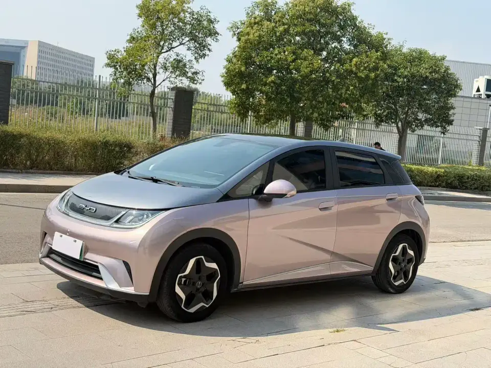 BYD Dolphin Model 405km Fashion Edition 2022