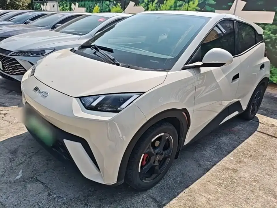 BYD Seagull Flying Edition 2023