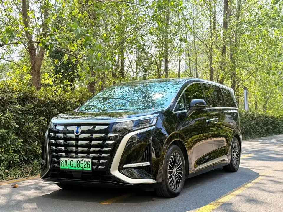 Denza D9 DM-i 980 AWD Premium 2024