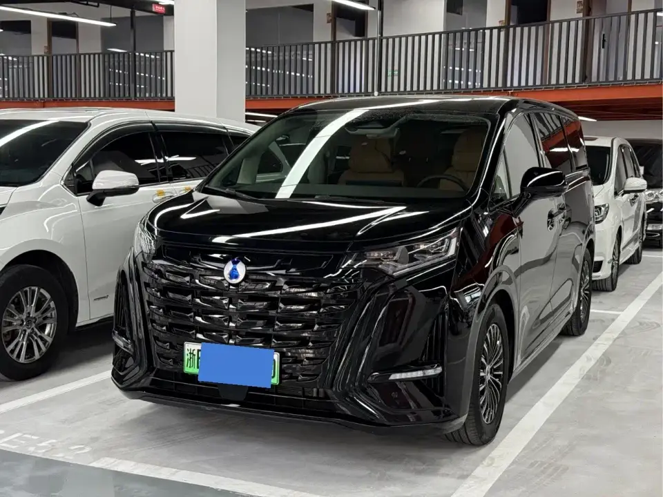 Denza D9 DM-i 1050 Premium 2024
