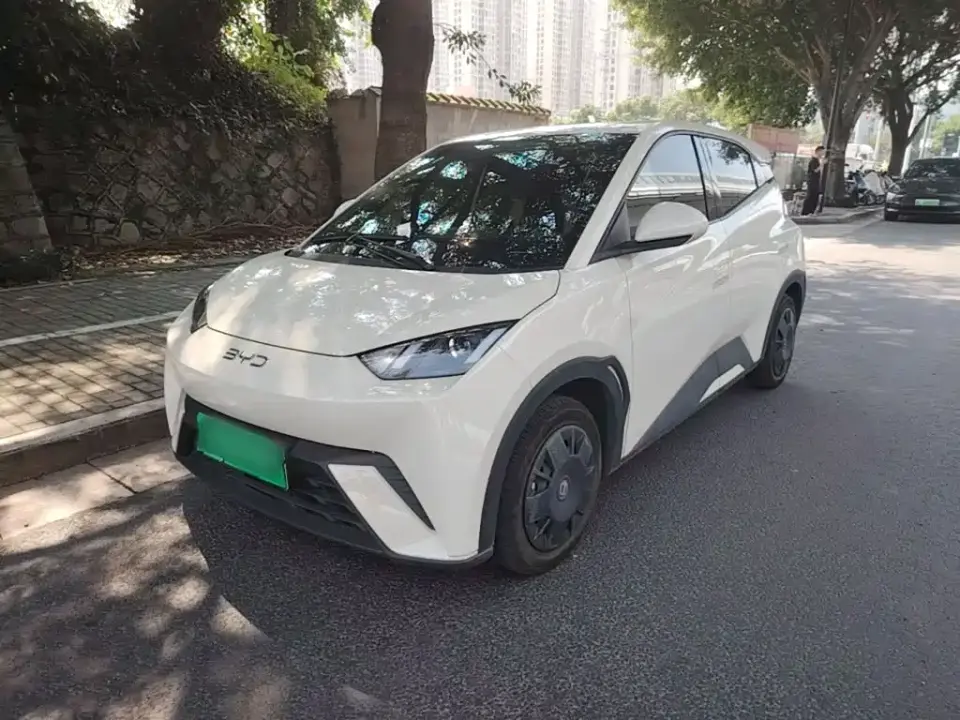 BYD Seagull Glory Edition 305km Vitality Edition 2024
