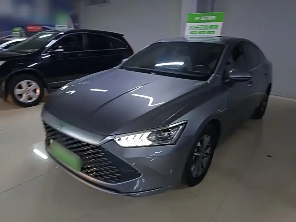 BYD Qin PLUS Glory Edition DM-i 55KM Leading 2024