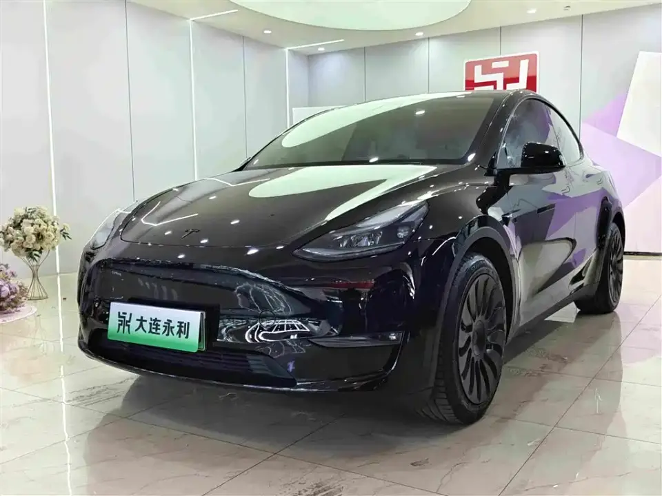 Tesla Model Y Standard Range Rear-Wheel Drive 2021