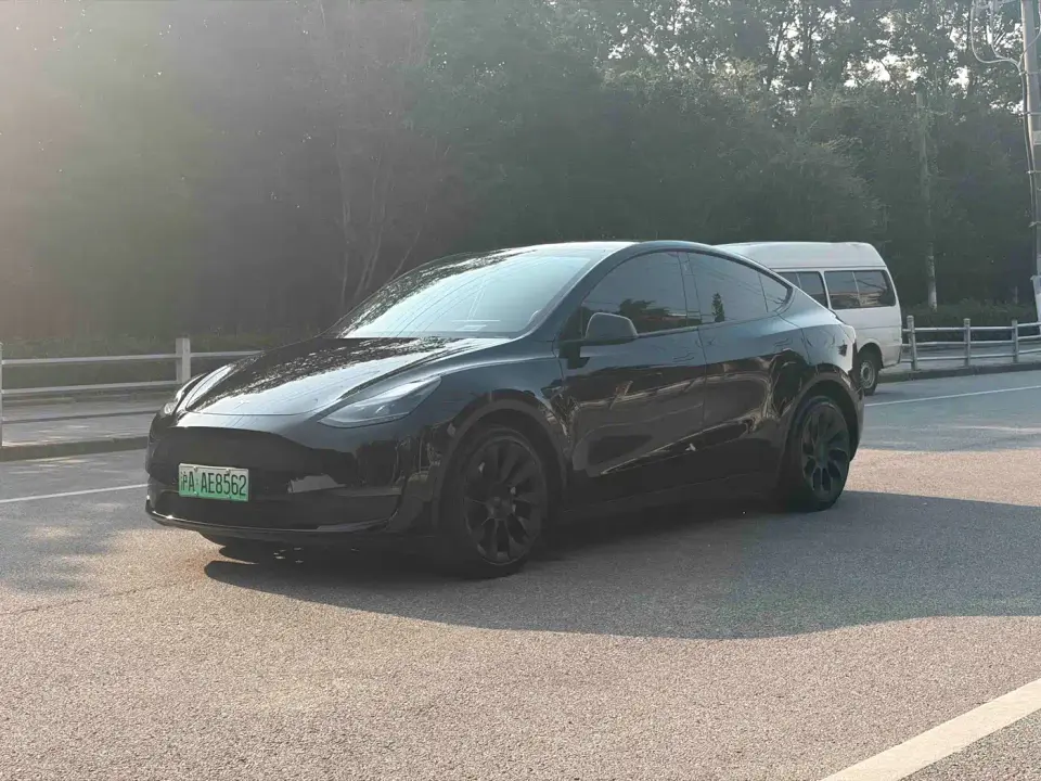 Tesla Model Y Standard Range Rear-Wheel Drive 2021