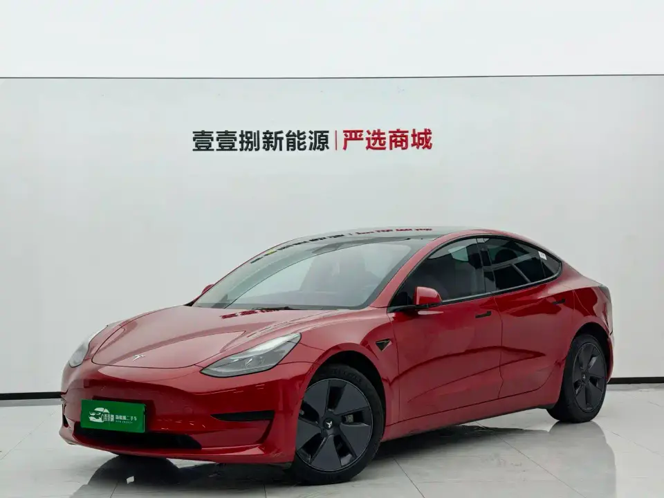 Tesla Model 3 Standard Range Rear-Wheel Drive Upgrade 2021