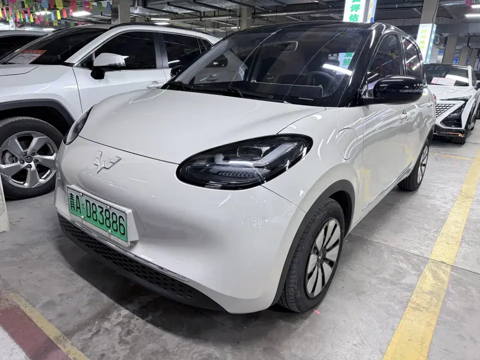 Wuling Motors Wuling Bingo 333km Comfort Edition 2024