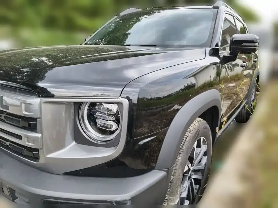 Haval Big Dog 1.5T DCT Border Collie Edition 2024