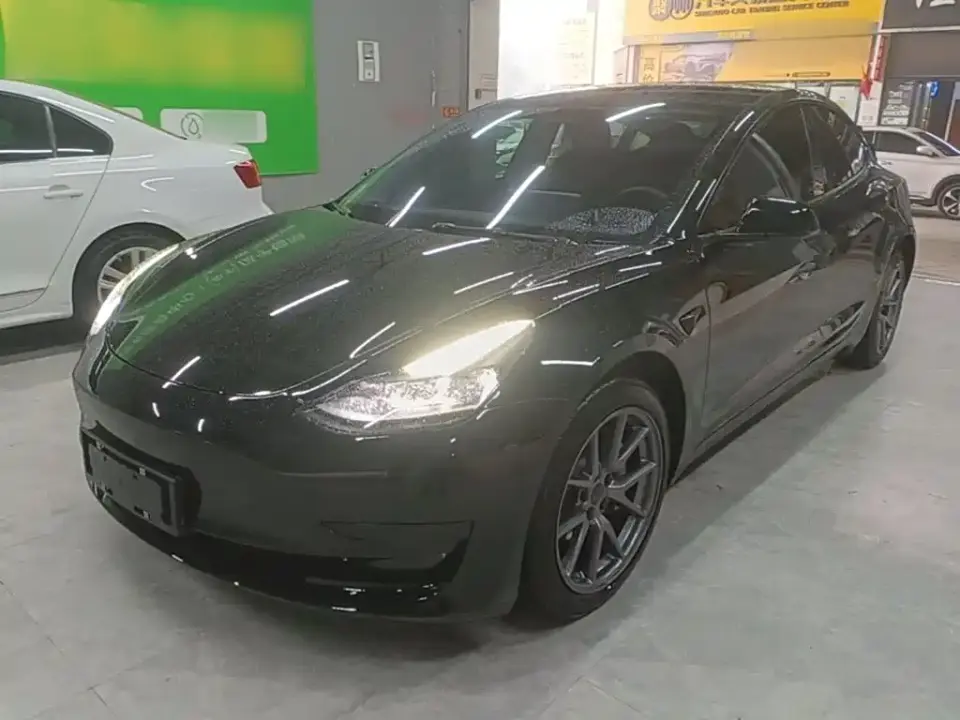 Tesla Model 3 Model Rear-Wheel Drive Version 2022