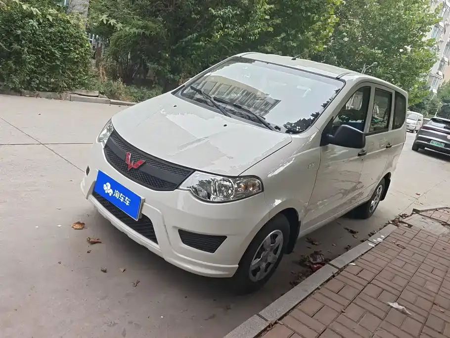 Wuling Motors Wuling Hongguang 1.2L S Basic China VI LSI 2020