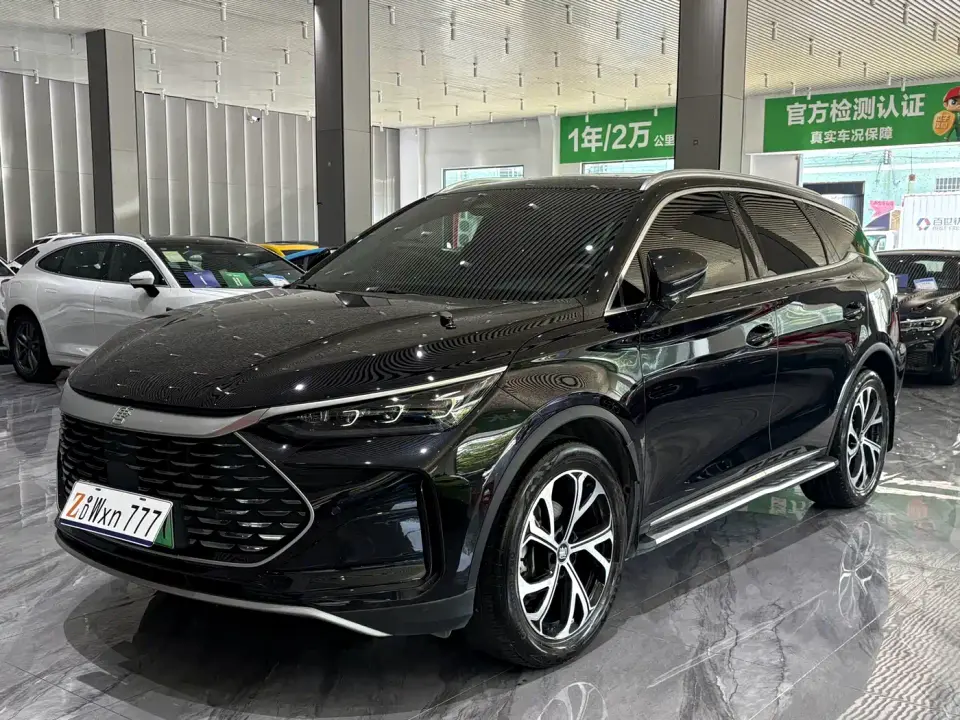 BYD Tang New Energy DM-i 115KM Prestige Type 2024