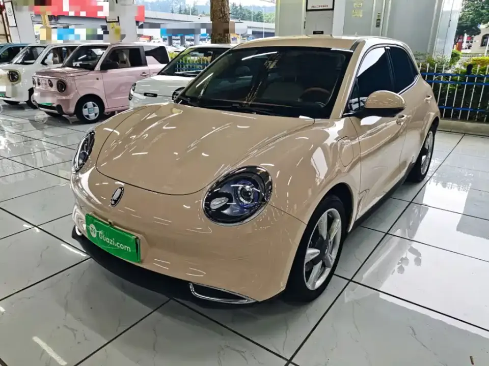 ORA Good Cat 401km Standard Range Luxury LFP 2024