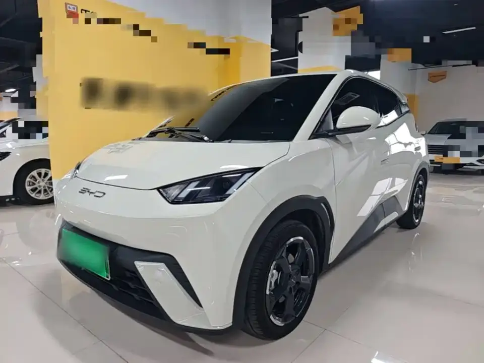 BYD Seagull Glory Edition 305km Freedom Edition 2024