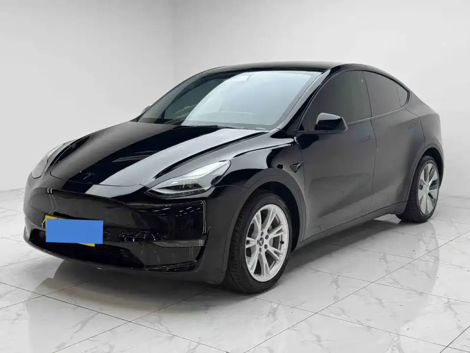 Tesla Model Y Standard Range Rear-Wheel Drive 2021