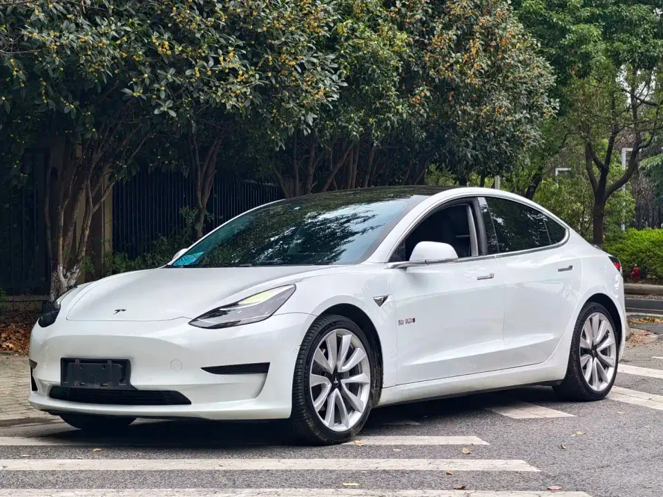 Tesla Model 3 Standard Range Rear-Wheel Drive Upgrade 3D6 2021