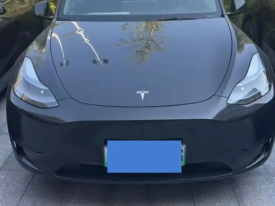Tesla Model Y Rear-Wheel Drive Version 2024