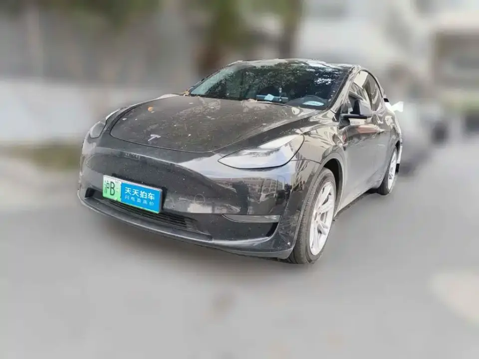 Tesla Model Y Standard Range Rear-Wheel Drive 2021