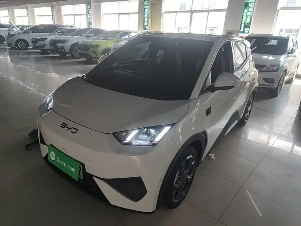BYD Seagull Smart Drive Edition 305km Freedom Version 2025