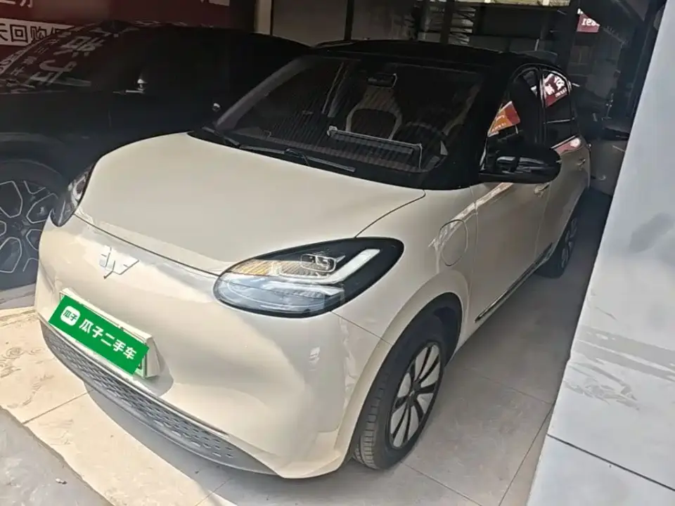 Wuling Motors Wuling Bingo Model 333km Joy+ Version 2023
